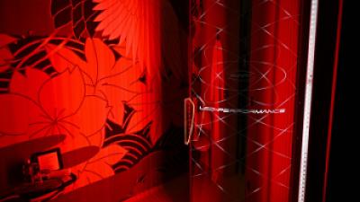 Red Light Therapy - Savremni pristup regeneraciji,ljepoti i balansu tijela