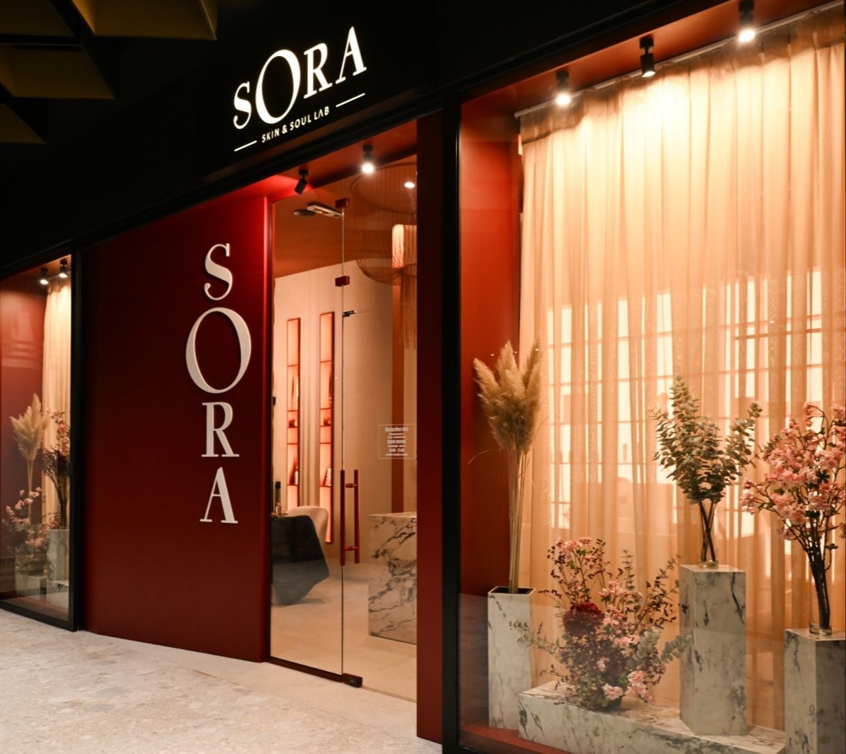 Filozofija profesionalne njege u SORI 