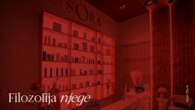 Filozofija profesionalne njege u SORI 